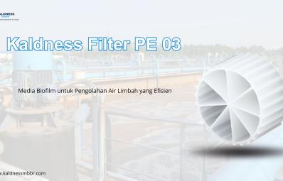 Jual Kaldness Filter PE 03